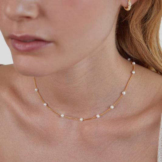 Penelope™ detail