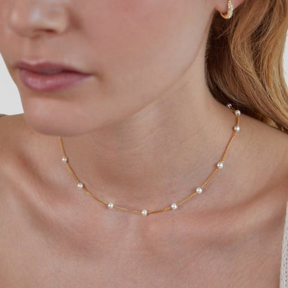 Penelope™ detail